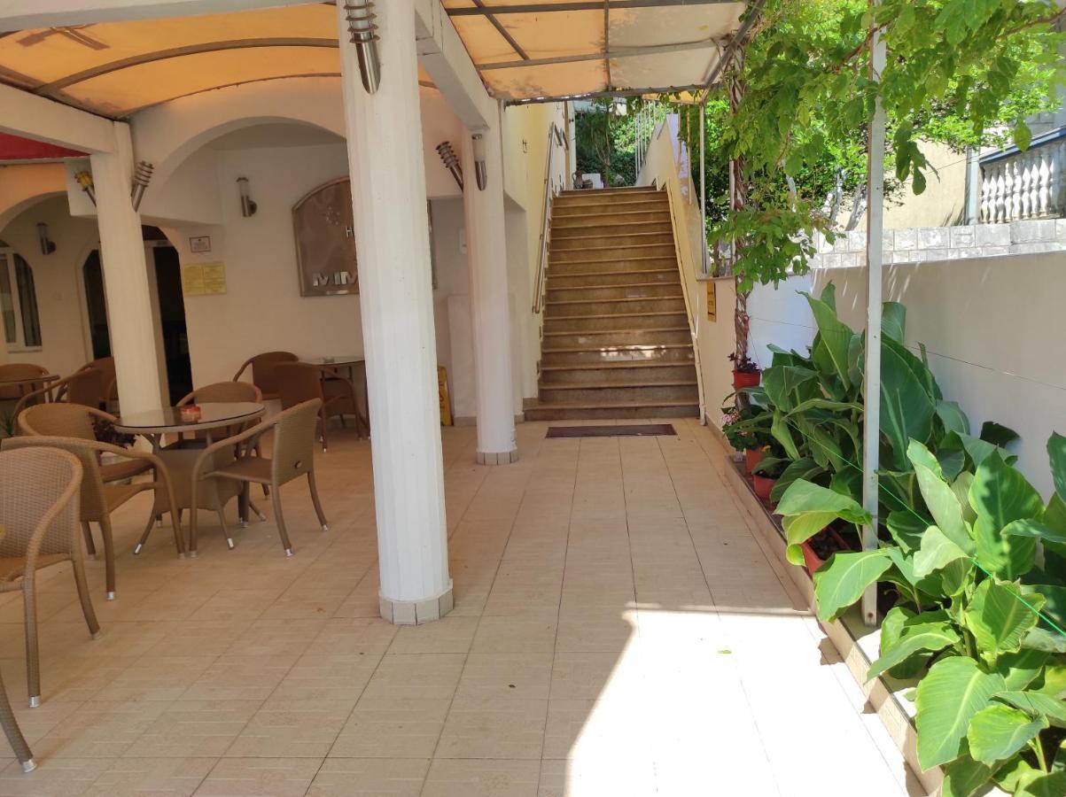 Mimoza 3*
